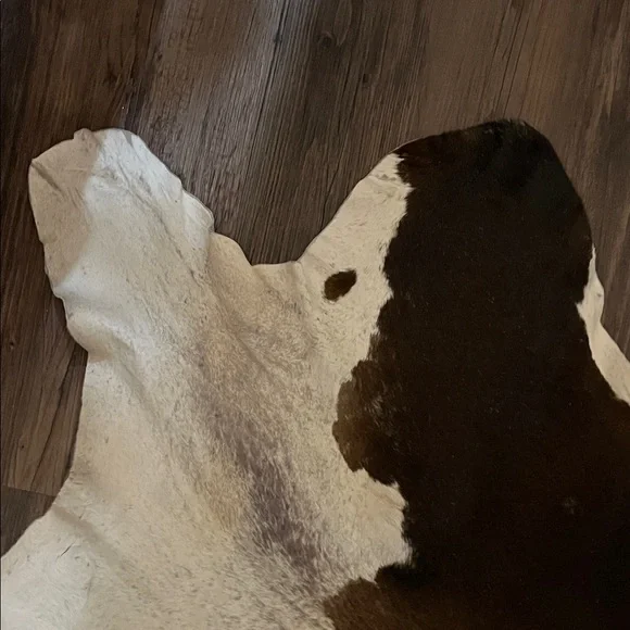 Authentic Cowhide Rug in Brown, Black, and White - Picture 5 of 8